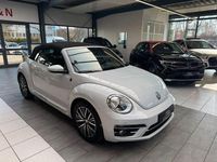 Gebraucht VW Beetle 110 PS (80 kW) 2018 Andere Kleinwagen