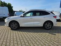 Gebraucht Ford Kuga ST-Line X 224 PS (164 kW) 2024 Arktisweiß (metallic) SUV