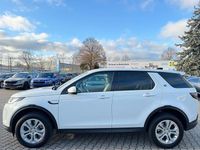 Gebraucht Land Rover Discovery Sport 150 PS (110 kW) 2020 Weiß SUV