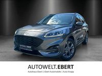 Gebraucht Ford Kuga ST-Line 224 PS (164 kW) 2021 Grau SUV