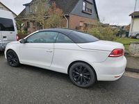 Gebraucht VW Eos 211 PS (155 kW) 2011 Weiß Cabrio