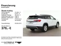 Gebraucht Skoda Kodiaq Selection 150 PS (110 kW) 2025 Moonweiss metallic SUV
