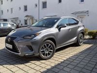 Gebraucht Lexus NX300 197 PS (144 kW) 2018 Grau SUV