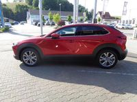 Gebraucht Mazda CX-30 Exclusive-Line 140 PS (102 kW) 2025 SUV