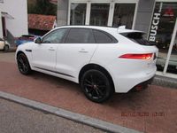 gebraucht Jaguar F-Pace 25d AWD R-Sport Automatik/ACC/Navi/Schieb