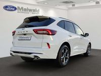 Gebraucht Ford Kuga ST-Line X 150 PS (110 kW) 2025 Frostweiß SUV