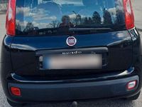 Gebraucht Fiat Panda Easy 69 PS (50 kW) 2016 Schwarz Kleinwagen