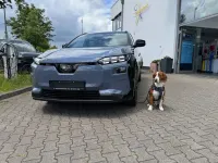 Neu Subaru Solterra 252 kW (343 PS) 2026 Grau SUV