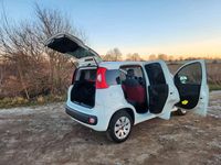 Gebraucht Fiat Panda 69 PS (50 kW) 2016 Weiß Kleinwagen
