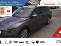 Gebraucht Skoda Octavia Business Line 150 PS (110 kW) 2025 Grau Kombi