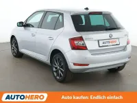 Gebraucht Skoda Fabia Soleil 60 PS (44 kW) 2019 Grau Kleinwagen