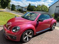 Gebraucht VW Beetle Edition 105 PS (77 kW) 2017 Andere farben Kleinwagen