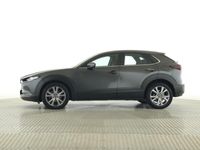 gebraucht Mazda CX-30 Selection Allrad LED Navi HUD PDC DAB LM