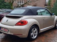 Gebraucht VW Beetle Cabriolet 170 PS (125 kW) 2015 Beige Cabrio