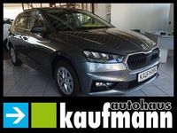 Gebraucht Skoda 110 R Style 110 PS (80 kW) 2023 Grau Limousine