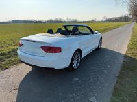 Gebraucht Audi A5 Cabriolet 218 PS (160 kW) 2016 Weiß Cabrio