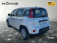 Gebraucht Fiat Panda 69 PS (50 kW) 2025 Weiß Kleinwagen