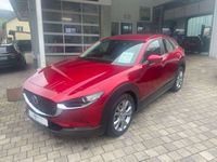 gebraucht Mazda CX-30 Selektion M-Hybrid