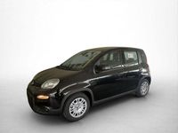 Gebraucht Fiat Panda 69 PS (50 kW) 2024 Schwarz Limousine