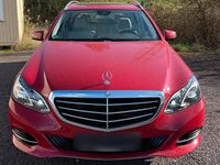 Gebraucht Mercedes E350 252 PS (185 kW) 2013 Rot Kombi