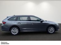 Gebraucht Skoda Octavia Selection 150 PS (110 kW) 2025 Grau Kombi