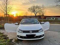 Gebraucht VW Eos 122 PS (89 kW) 2014 Weiß Cabrio