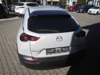 gebraucht Mazda MX30 e-SKYACTIV First Edition HUD/NAVI/ACC