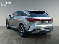 Neu Lexus RX450h Business Edition 292 PS (214 kW) 2026 Titaniumsilber SUV