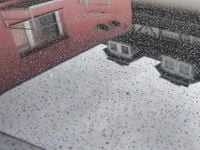 Gebraucht Skoda Octavia RS 230 PS (169 kW) 2017 Schwarz Kombi