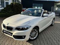 gebraucht BMW 220 i Cabrio Advantage Aut. LED~LEDER~NAVI~H&K~