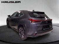 Second-hand Lexus UX 2023 Gri SUV