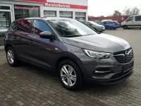 Gebraucht Opel Grandland X 131 PS (96 kW) 2019 Grau SUV