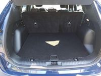 Gebraucht Ford Kuga Titanium 132 PS (97 kW) 2022 Blazerblau SUV