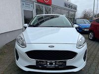 Gebraucht Ford Fiesta Trend 71 PS (52 kW) 2019 Weiß Kleinwagen