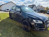 Gebraucht Audi SQ5 Competition 326 PS (239 kW) 2016 Schwarz SUV