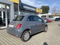 gebraucht Fiat 500 1.0 CULT Klima*EFH*ZV*GRA*RDK