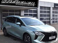 Neu Forthing Yacht/4 U-Tour 177 PS (130 kW) 2025 M4 grün Van / Kleinbus