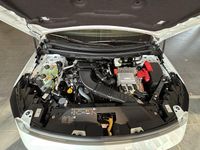 Neu Renault Austral Techno 200 PS (147 kW) 2026 SUV