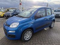 Neu Fiat Panda 69 PS (50 kW) 2025 Italia blau Kleinwagen
