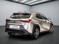 Gebraucht Lexus UX 184 PS (135 kW) 2021 Grau SUV
