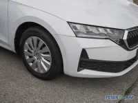 Gebraucht Skoda Octavia Essence 116 PS (85 kW) 2025 Moon weiss perleffekt Kombi