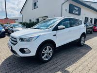 Gebraucht Ford Kuga 120 PS (88 kW) 2019 Weiß SUV
