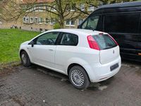 Gebraucht Fiat Punto 2009 Weiß Kleinwagen