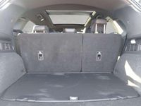 Gebraucht Ford Kuga ST-Line X 150 PS (110 kW) 2023 Chroma blau metallic SUV