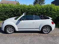 gebraucht VW Beetle 1.2 TSI BMT CLUB Cabriolet CLUB