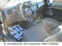 gebraucht VW Beetle Cabriolet NAVI BI-XENON BLUETH ALU