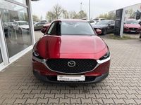 Gebraucht Mazda CX-30 Selection 116 PS (85 kW) 2020 Rot SUV