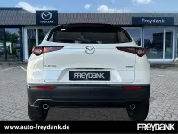 Gebraucht Mazda CX-30 Exclusive-Line 122 PS (89 kW) 2024 Snowflake white pearl SUV