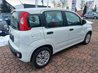 Gebraucht Fiat Panda Easy 69 PS (50 kW) 2017 Weiß Limousine