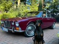 Gebraucht Jaguar XJ6 205 PS (150 kW) 1971 Rot Limousine